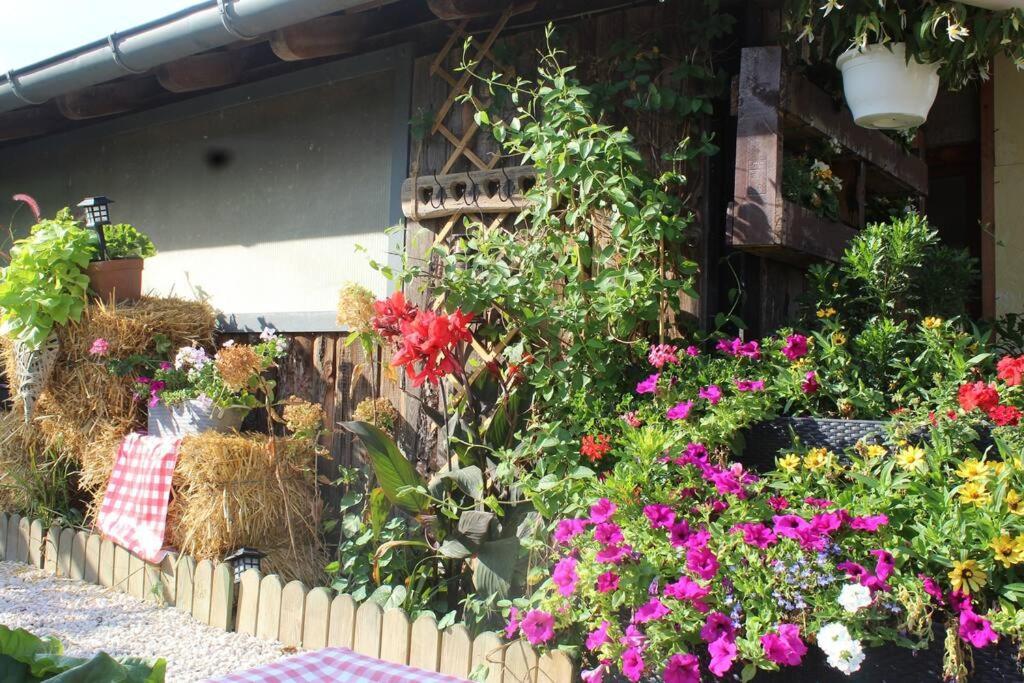 Maisonnette Bindernheim Zewnętrze zdjęcie