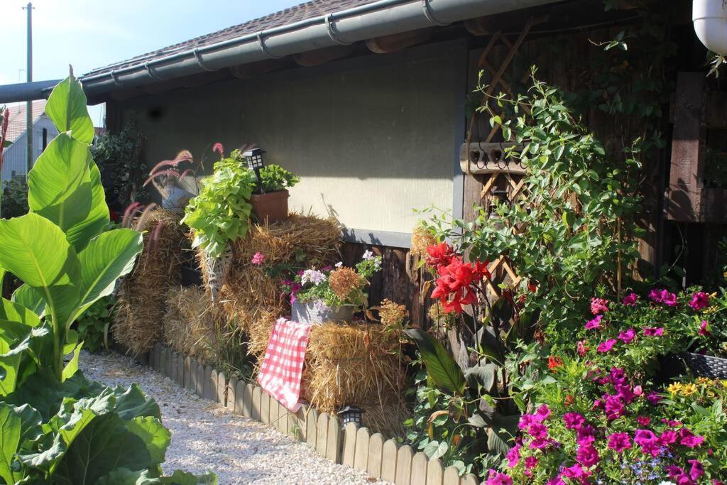 Maisonnette Bindernheim Zewnętrze zdjęcie